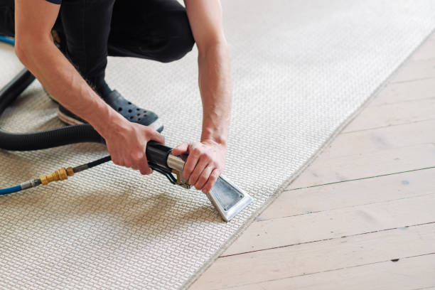 Professional carpet cleaning service Adelaide - deep fiber extraction